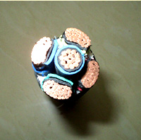 <b>�������͸ߜ������|</b>