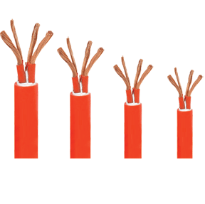 <b>�����z�͸ߜؿ�����|</b>